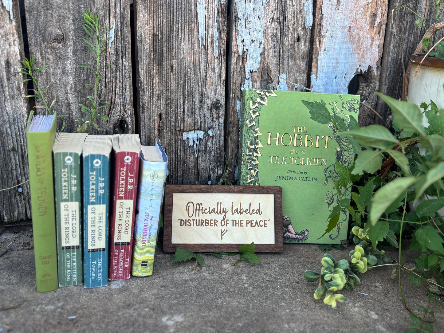 Officially Labeled “Disturber of the Peace” F Wood Engraved Sign | Personalized Fantasy Ring Decor Baby Nursery | Baby Shower Gift
