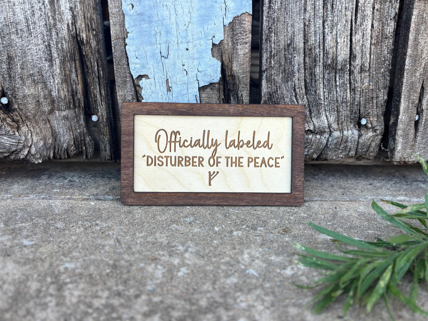 Officially Labeled “Disturber of the Peace” F Wood Engraved Sign | Personalized Fantasy Ring Decor Baby Nursery | Baby Shower Gift