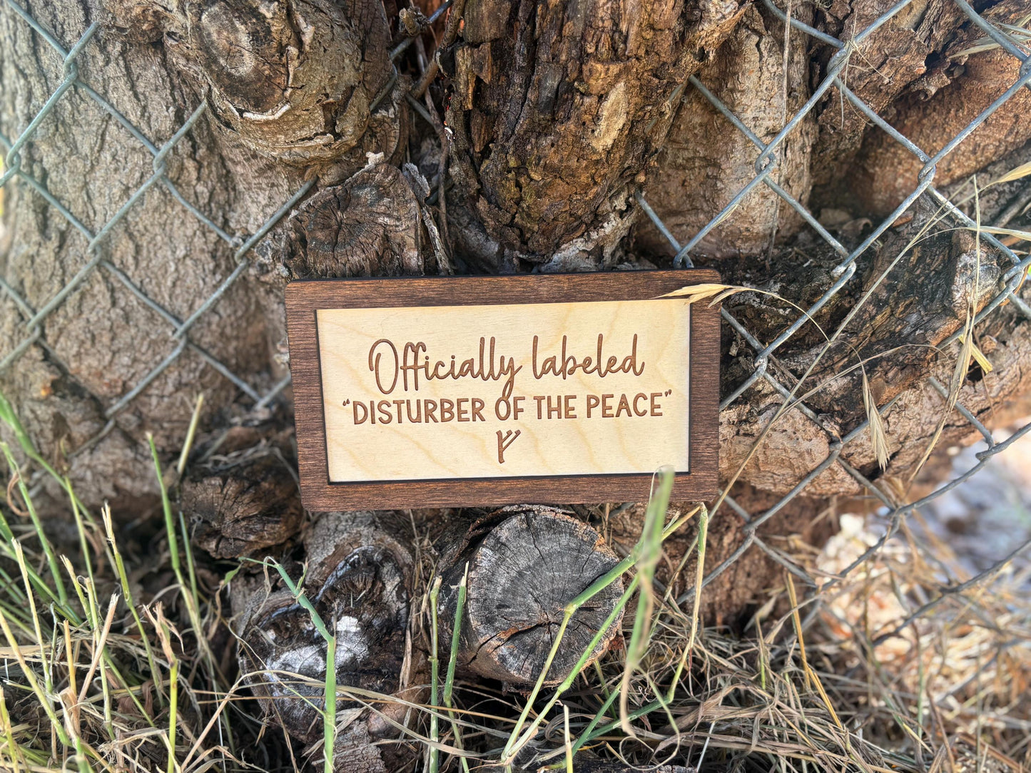 Officially Labeled “Disturber of the Peace” F Wood Engraved Sign | Personalized Fantasy Ring Decor Baby Nursery | Baby Shower Gift