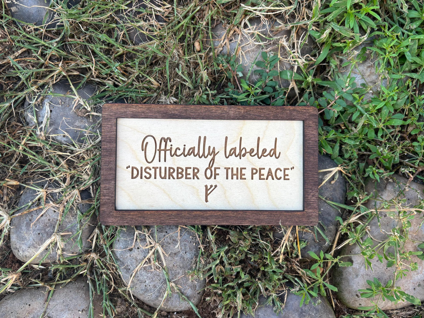 Officially Labeled “Disturber of the Peace” F Wood Engraved Sign | Personalized Fantasy Ring Decor Baby Nursery | Baby Shower Gift