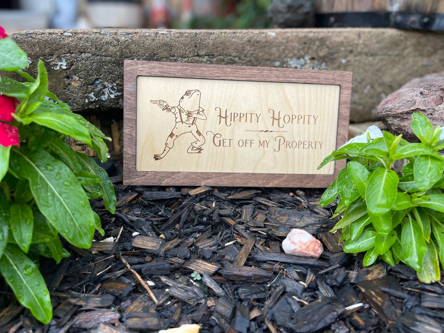 Hippity Hoppity Get Off My Property | Wood Engraved Funny Welcome Sign | Frog Lover DecorDoor Hanger