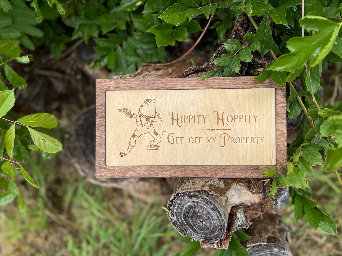 Hippity Hoppity Get Off My Property | Wood Engraved Funny Welcome Sign | Frog Lover DecorDoor Hanger