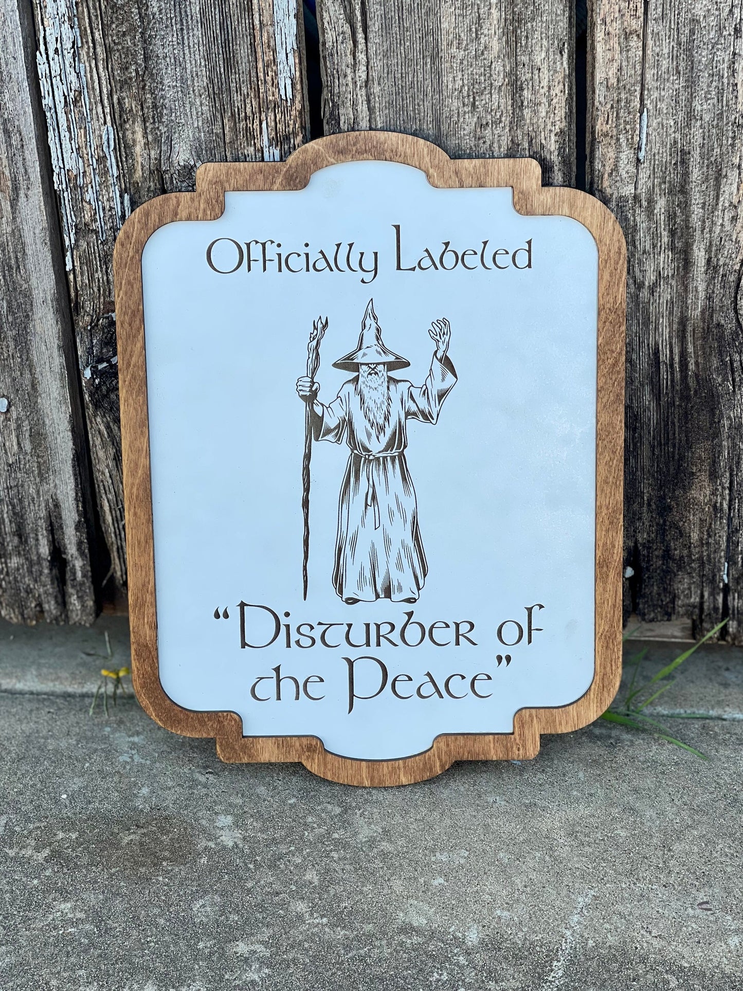 Officially Labeled "Disturber of the Peace" Fantasy Wizard Sign - Ring & Shire Decor